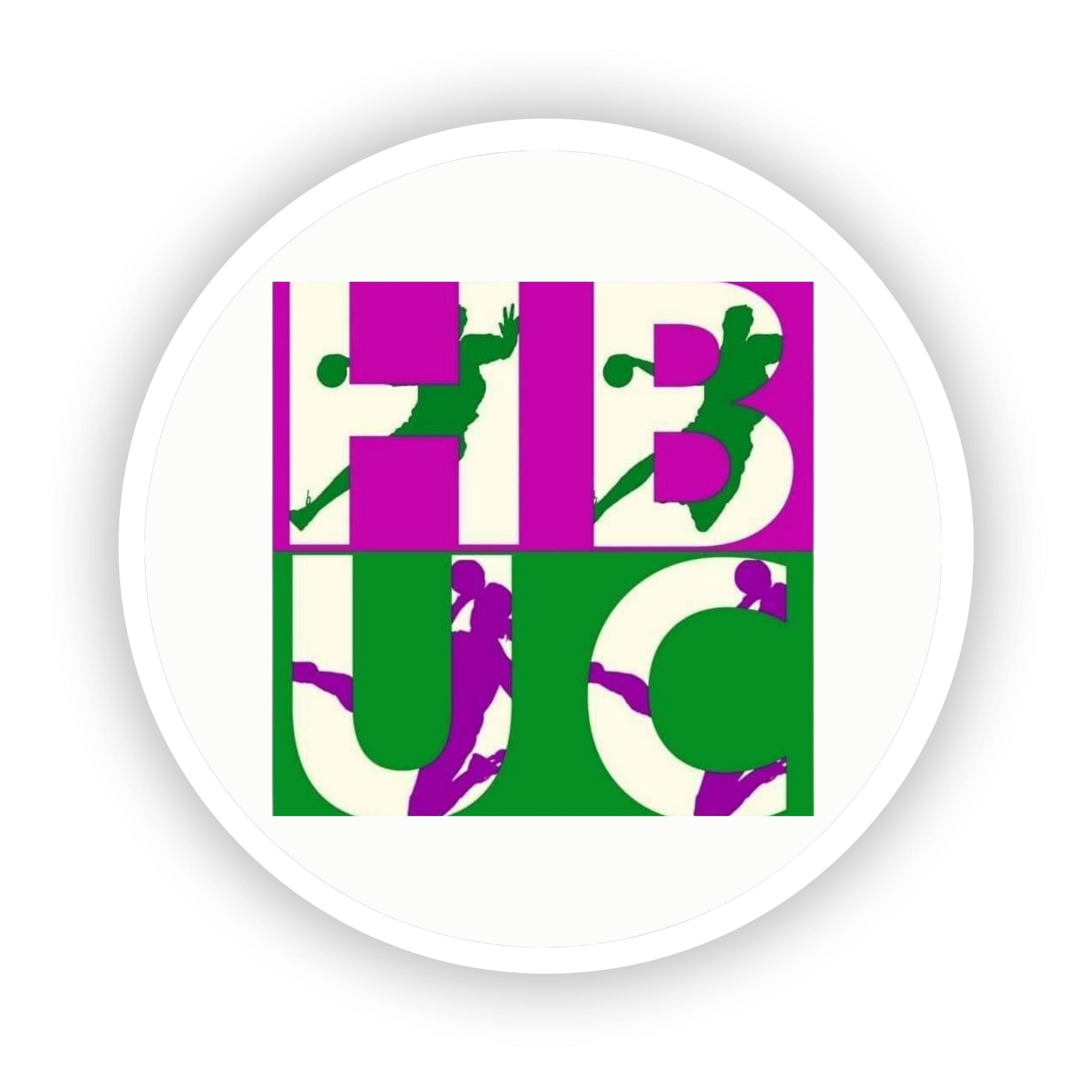 Logo TIASSALE HANDBALL CLUB