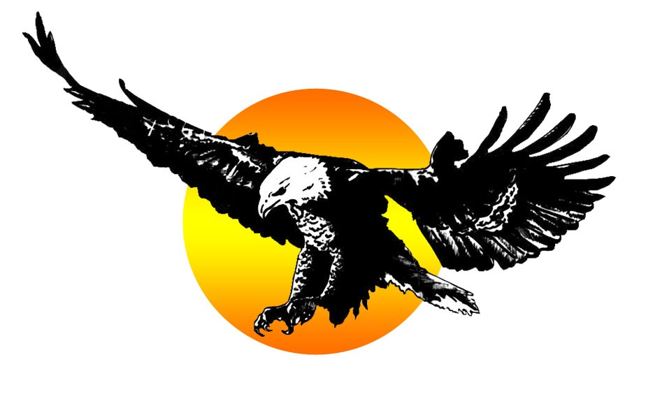 Logo PACIFIC HANDBALL CLUB 
