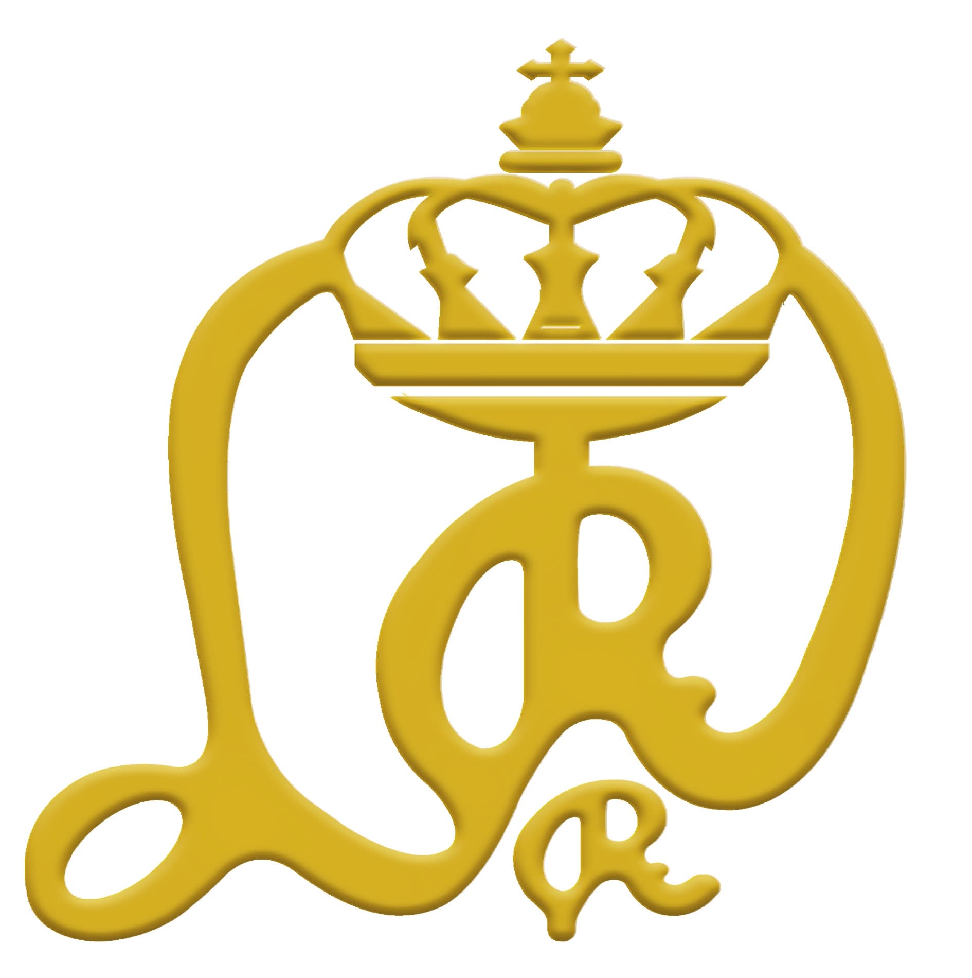 Logo BAYOTA HANDBALL CLUB 