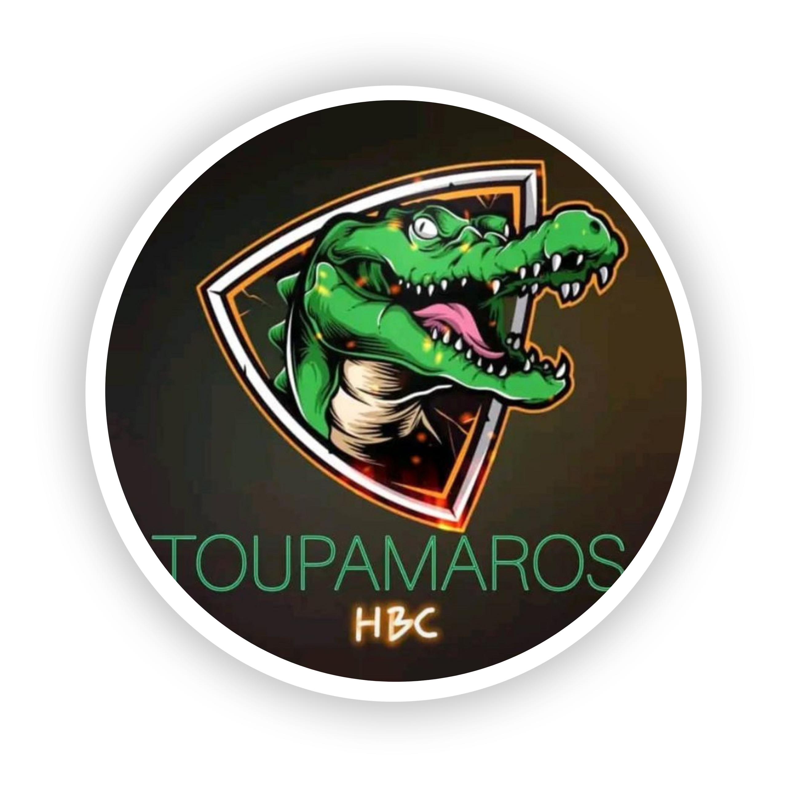 Logo AGNISSANKOI HANDBALL CLUB 