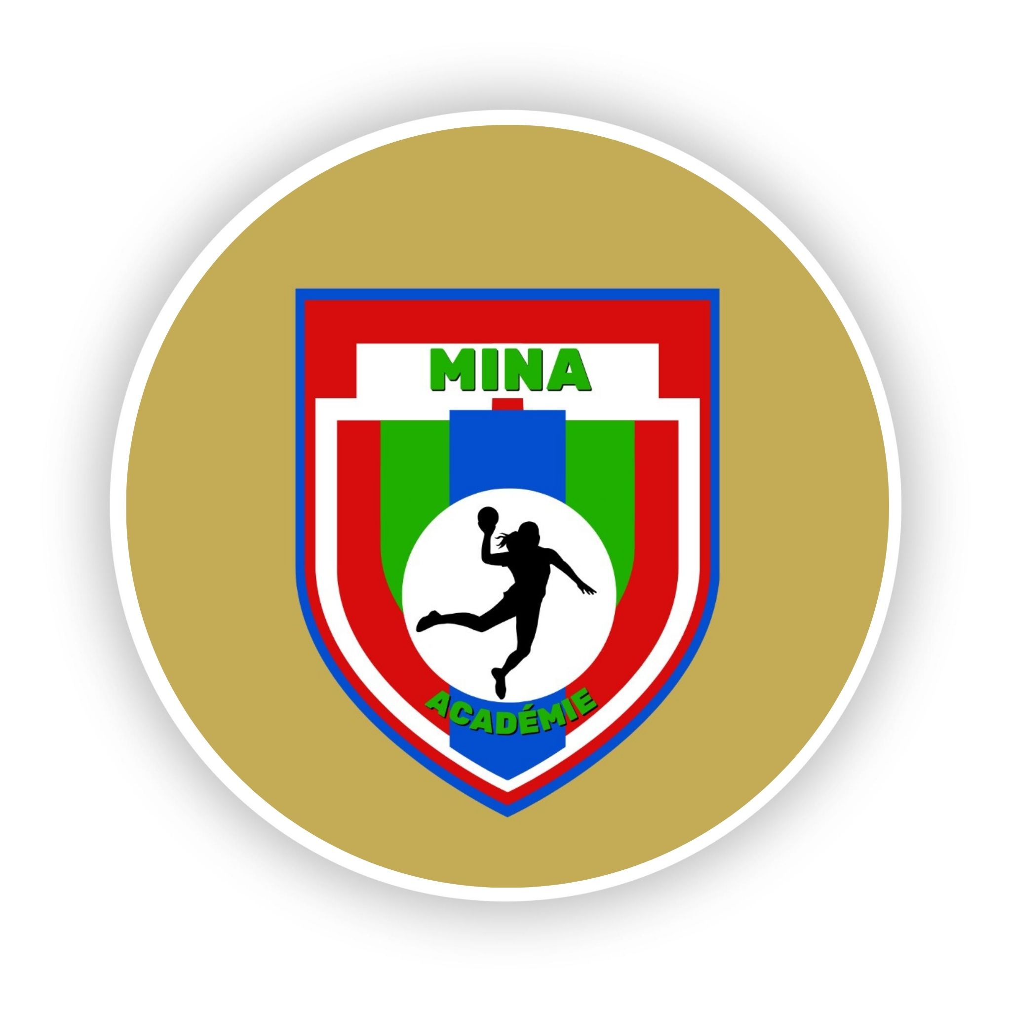 Logo PESSIMA TIGRIS ACADEMIE