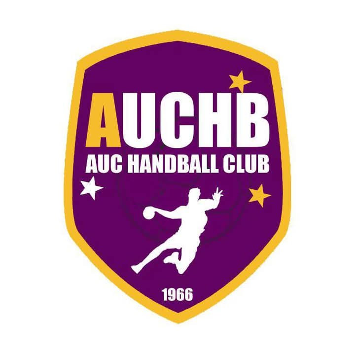 Logo LEBOUTOU HANDBALL CLUB