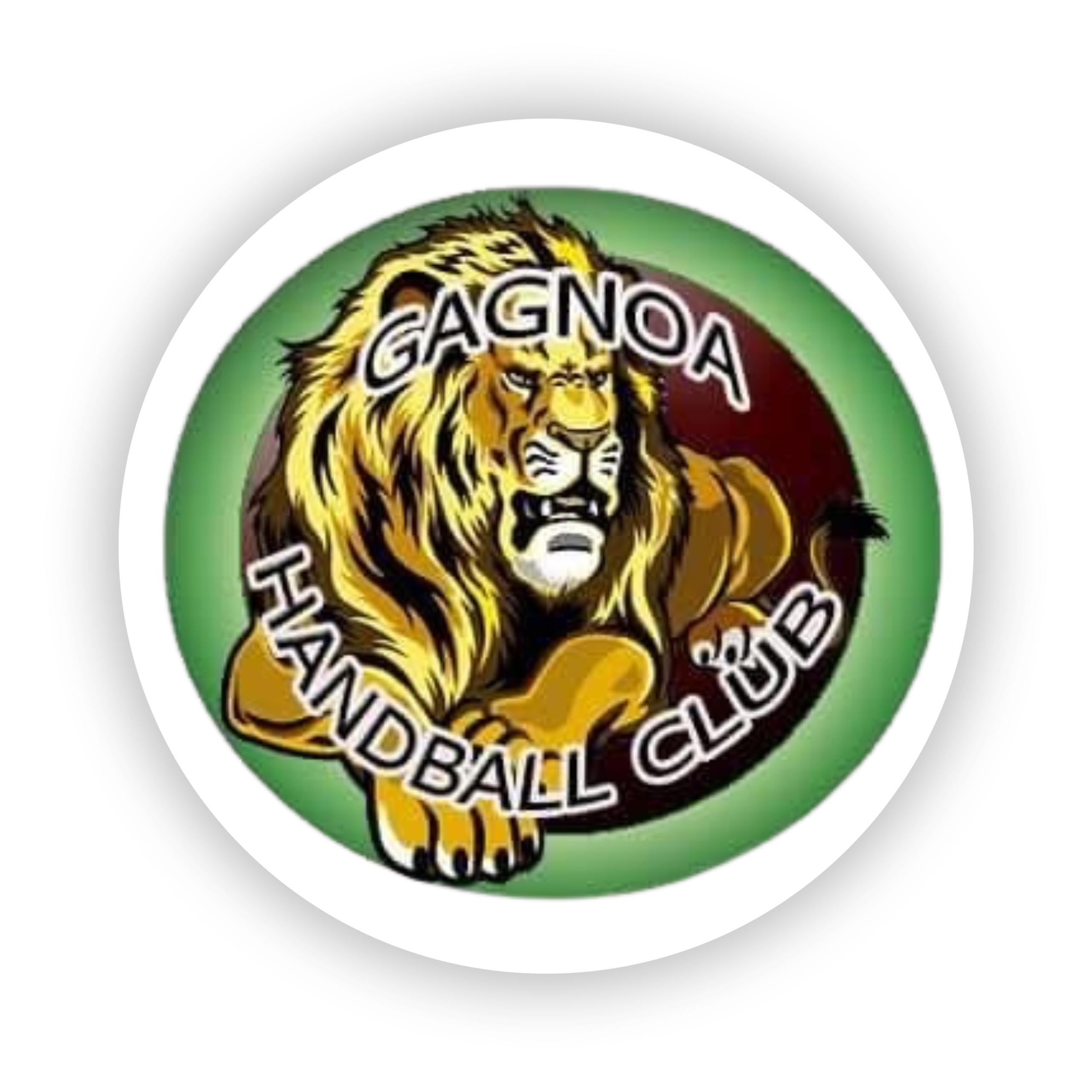 Logo IVOIRE ACADEMIE D'ASSOMLAN 